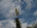 photo thumbnail #15