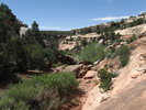 photo thumbnail #8