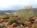 photo thumbnail #1