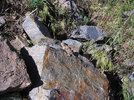 photo thumbnail #9