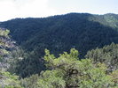 photo thumbnail #14