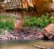 photo thumbnail #8