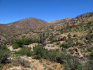 photo thumbnail #3