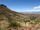 photo thumbnail #8