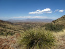 photo thumbnail #10