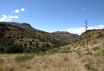 photo thumbnail #11