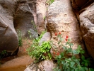 photo thumbnail #10