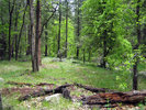photo thumbnail #6