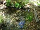 photo thumbnail #13