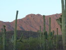 photo thumbnail #8