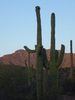 photo thumbnail #10