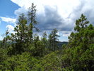 photo thumbnail #11