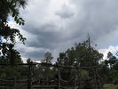 photo thumbnail #14