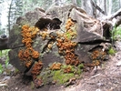 photo thumbnail #9