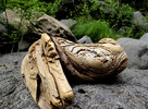 photo thumbnail #4