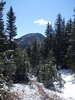 photo thumbnail #6