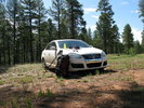 photo thumbnail #3