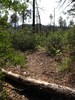photo thumbnail #4