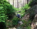 photo thumbnail #11