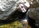 photo thumbnail #15