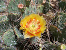 photo thumbnail #7