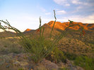 photo thumbnail #7