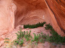 photo thumbnail #13