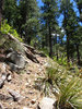 photo thumbnail #11