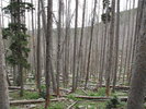 photo thumbnail #11