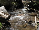 photo thumbnail #12