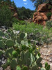 photo thumbnail #13