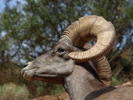 photo thumbnail #11