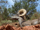 photo thumbnail #12