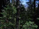 photo thumbnail #14