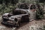 photo thumbnail #4