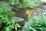 photo thumbnail #4