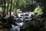 photo thumbnail #8
