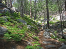 photo thumbnail #8