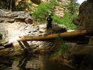 photo thumbnail #8