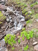 photo thumbnail #13