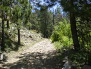 photo thumbnail #1