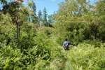 photo thumbnail #4