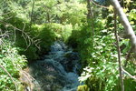 photo thumbnail #7