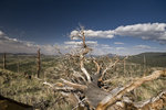 photo thumbnail #12
