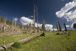 photo thumbnail #14