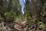 photo thumbnail #3