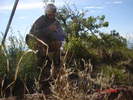 photo thumbnail #6
