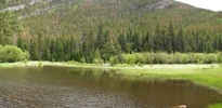 photo thumbnail #2
