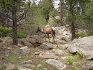 photo thumbnail #5