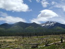 photo thumbnail #12